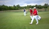 Institut Golf EGF   GOLF DE TAULANE   PACA