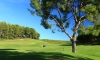 STAGE DE GOLF PARCOURS   DOLCE FREGATE PROVENCE