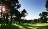 stage perfectionnement golf pass aquitaine 012