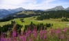 Golf Morzine (3)