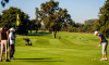 golf du gouverneur 005