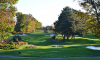 golf vichy forÃªt de montpensier 002