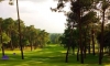 stage perfectionnement golf landes 006