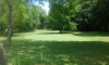 golf de bournet 002