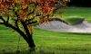 golf aix marseille 002