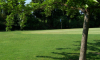 golf de barbentane 003