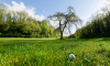 golf caen la mer 001
