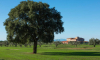 Riva Toscana Golf   03