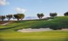 Royal Palm Golf Marrakech (1)