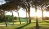 Bien Ãªtre, Gastronomie et Sports en Toscane: RÃ©servez Argentario Golf & Wellness Resort.