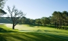 golf stadium course view course hole 12