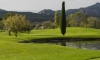 Barbossi golf