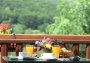 Domaine de Falgos