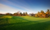 the prestige golfshire club 1