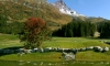INSTITUT GOLF EGF DE MERIBEL