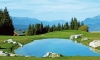 STAGE CARTE VERTE   INSTITUT GOLF MERIBEL