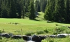 meribel_golf_063